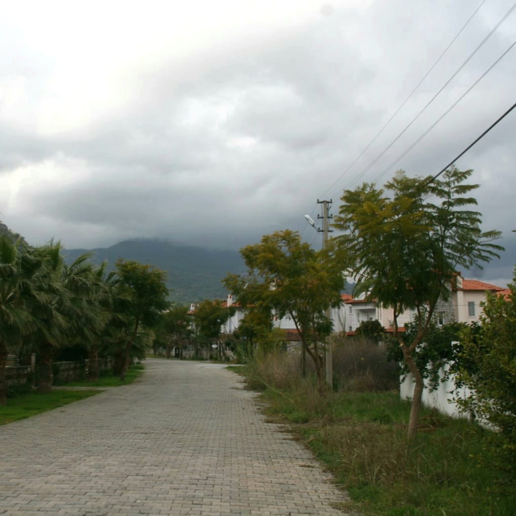 Dalyan’da Yeni Bir Sokak Keşfedildi